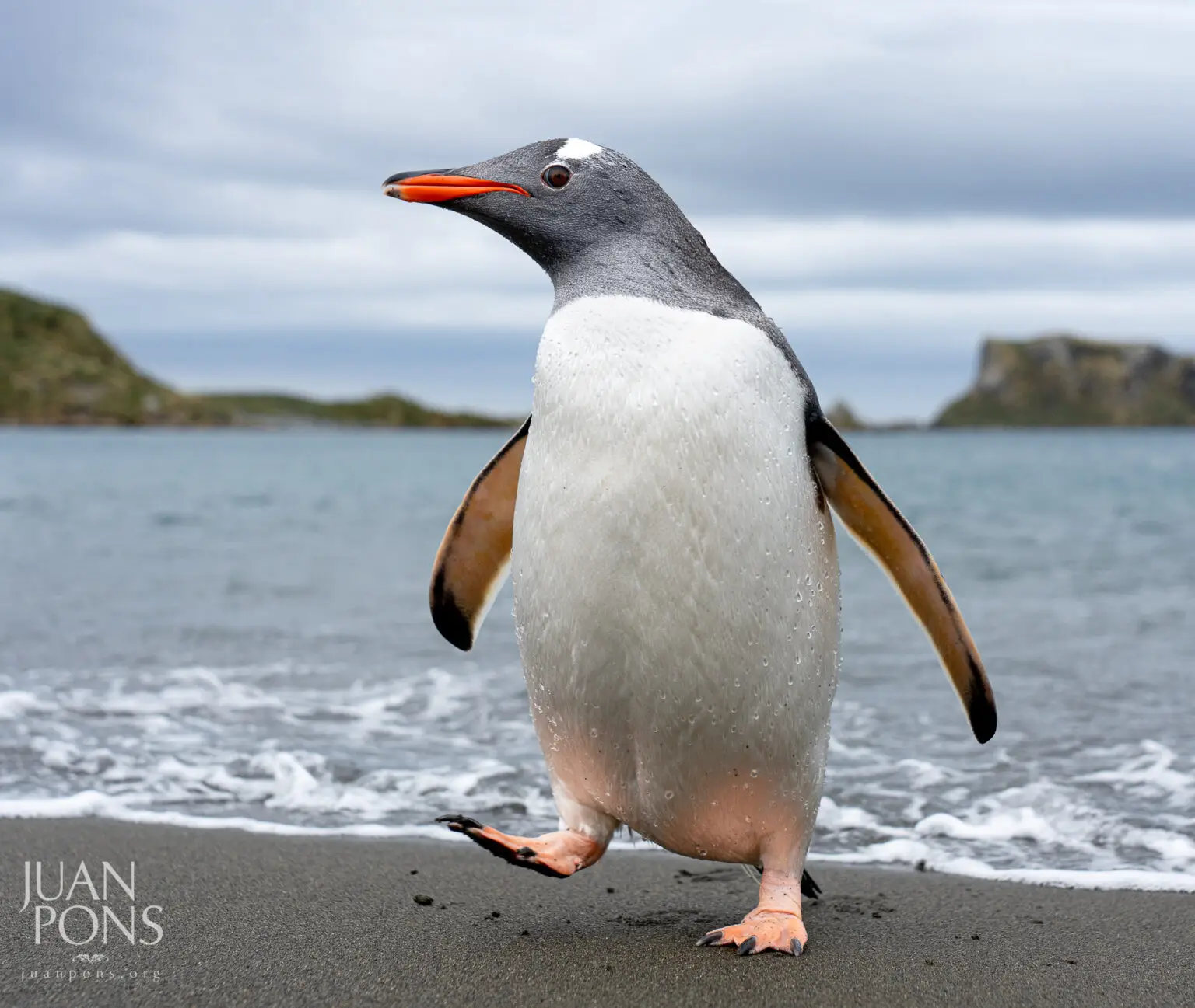 20221025-7408045-Edit